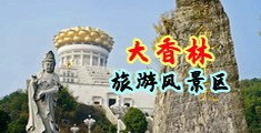 抽插视频下载中国浙江-绍兴大香林旅游风景区